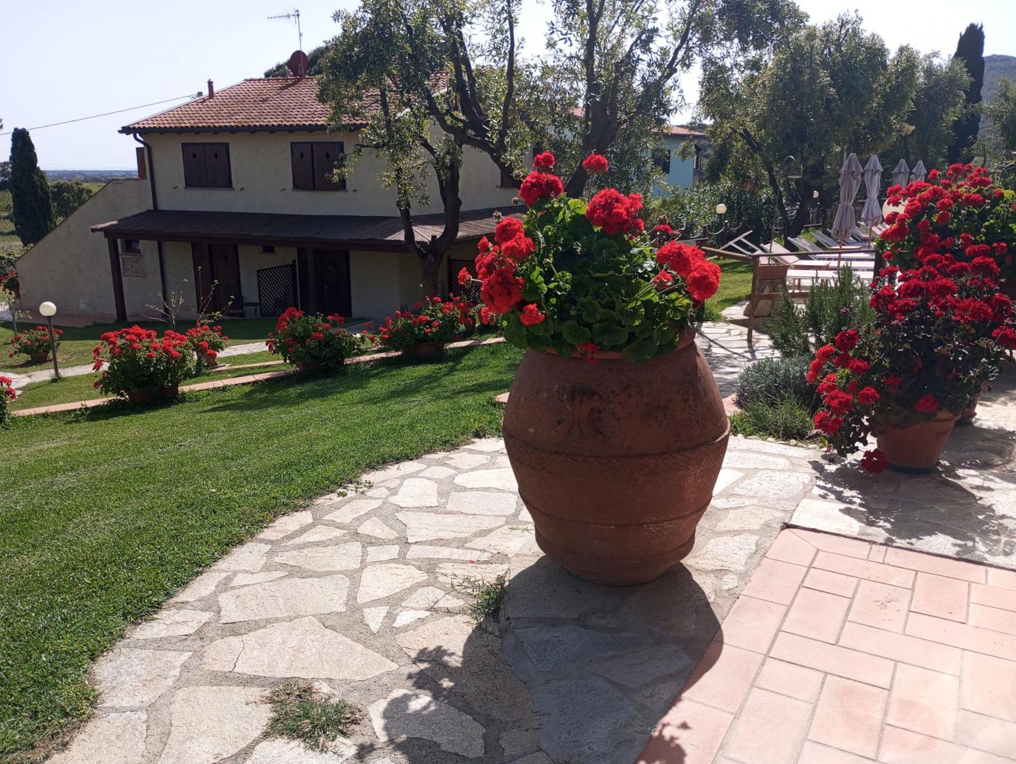Agriturismo La Luciana Castiglione della Pescaia Zewnętrze zdjęcie