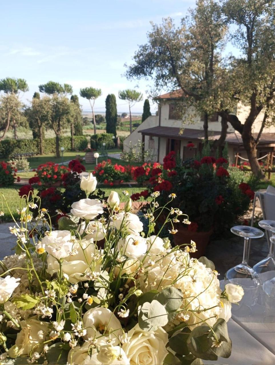 Agriturismo La Luciana Castiglione della Pescaia Zewnętrze zdjęcie